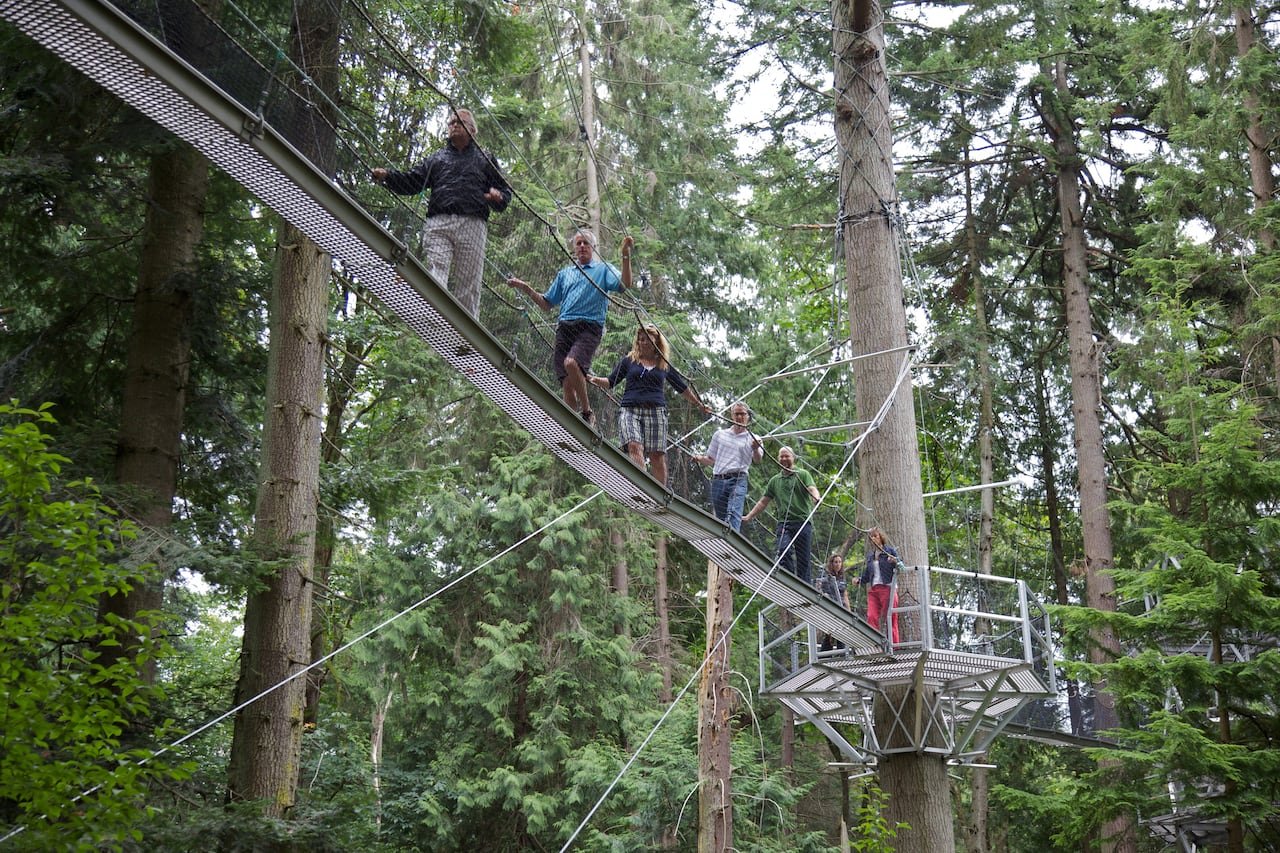 People walking on a suspended walkway in the forest.