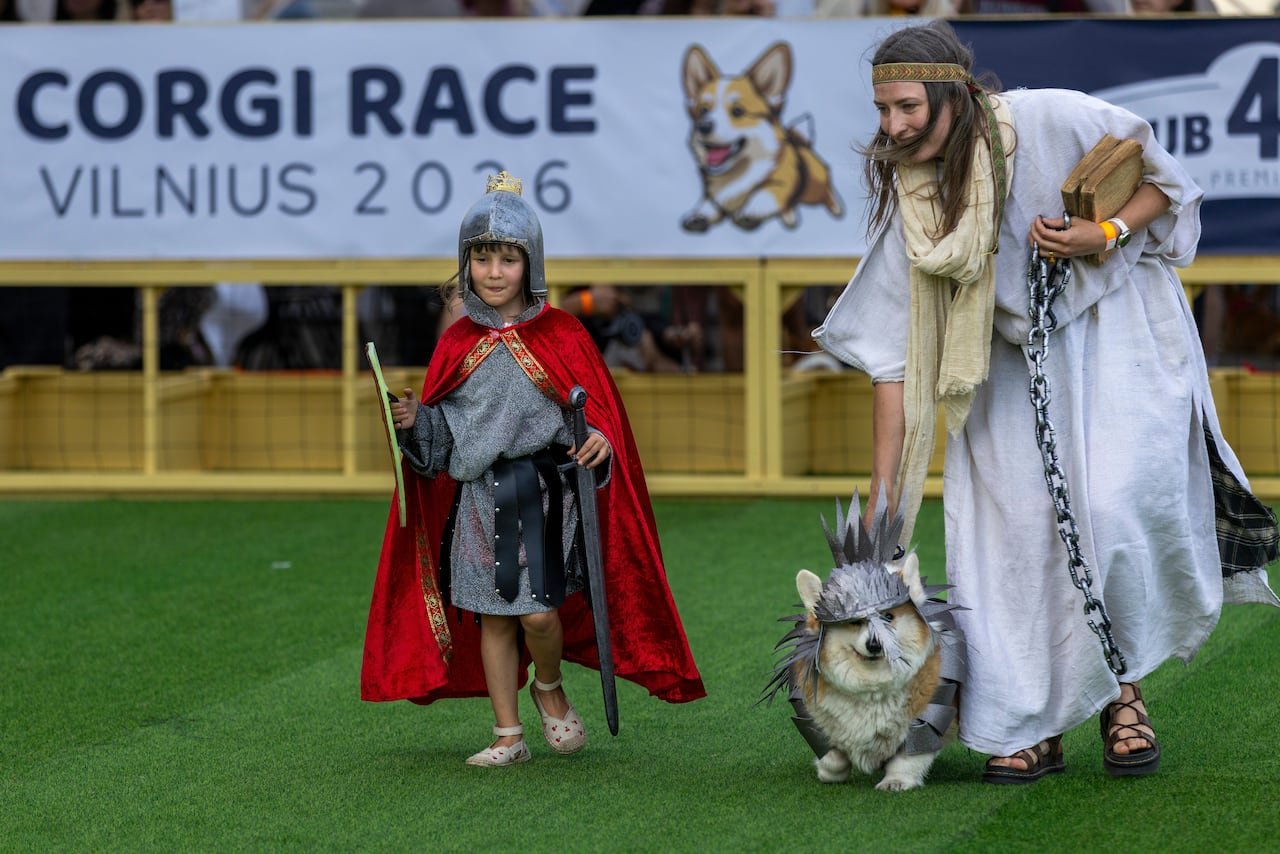 default-971 A boy and woman in costumes walk a corgi, also in a costume.