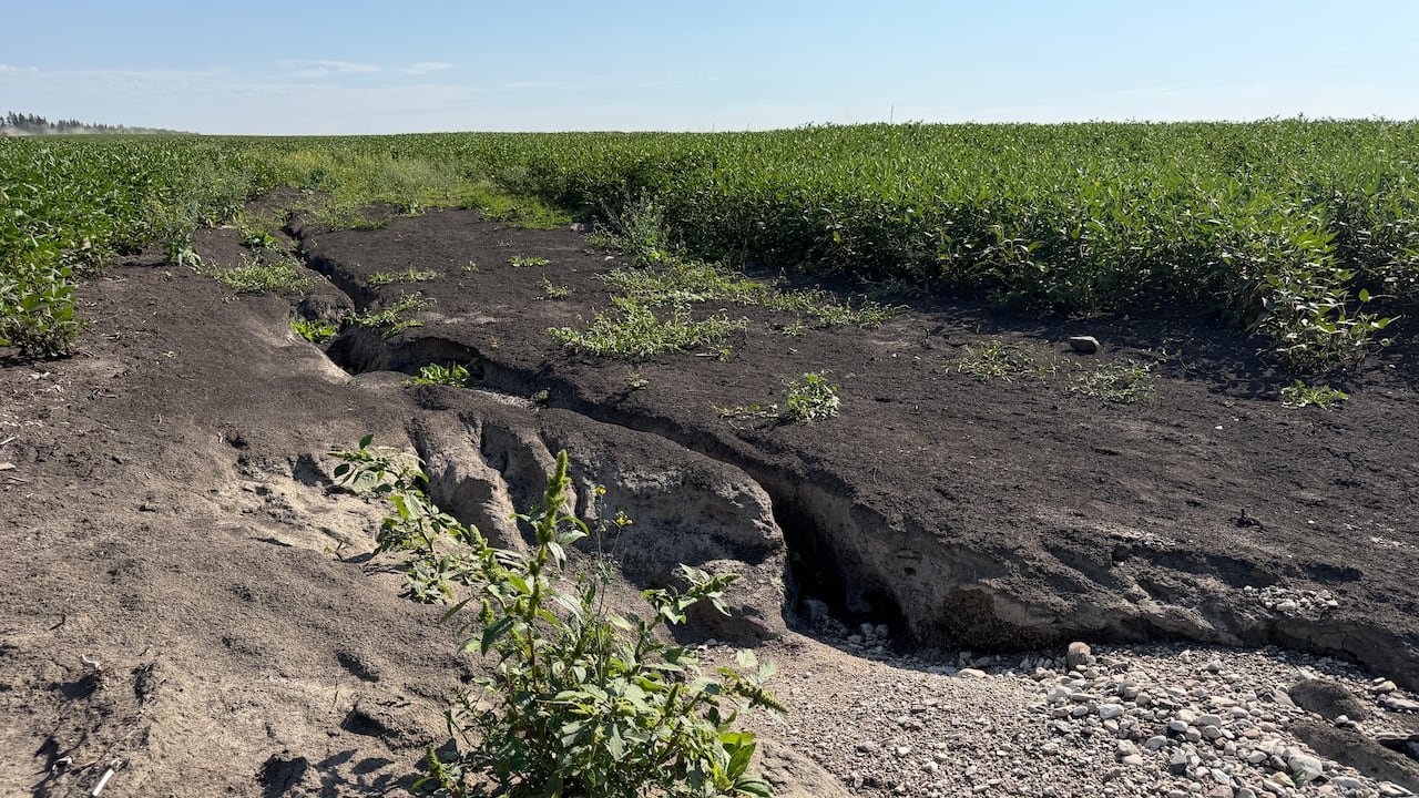 A fissure runs through a farm field.