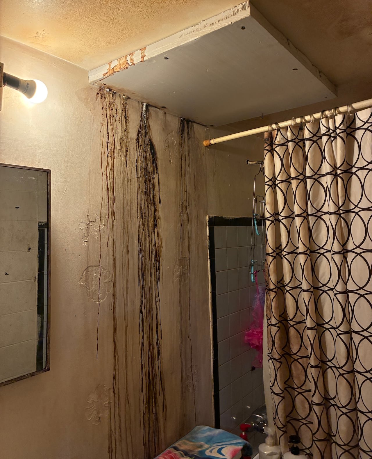 Water leaks visible on a bathroom wall.