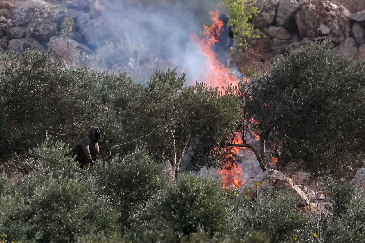 default-2479 An Israeli settler casts a projectile towards Palestinians near a fire burning in olive trees.
