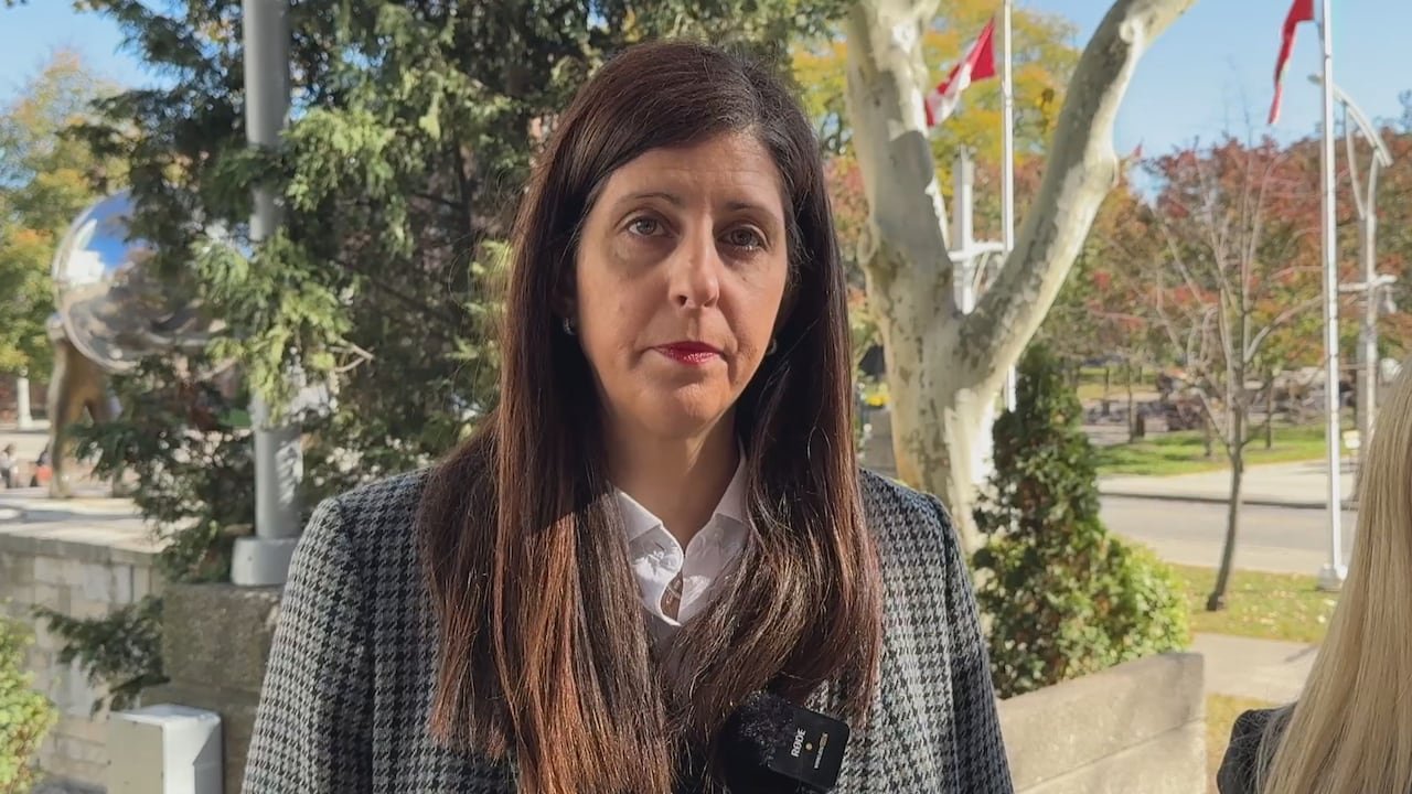 Defence lawyer Julianna Greenspan said she plans to file an appeal of the guilty verdict on behalf of her client Glen Mayer.